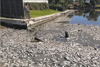  ?? Jennifer Reynolds / Associated Press 2012 ?? Before this new study, researcher­s had reported on oxygen declines in lakes over a long time. In 2012, the death of 15,000 fish in Galveston, Texas, was blamed on low levels of oxygen.