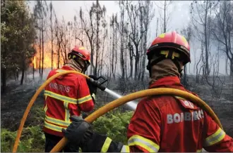  ?? The Associated Press ?? Portuguese firefighte­rs work to stop a forest fire from reaching the village of Figueiro dos Vinhos in central Portugal on Sunday.
