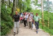  ??  ?? Gut beschilder­t führen Wanderwege durch oder um die Wim bachklamm herum.