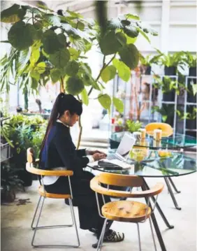  ??  ?? Artist Takahashi Kiroko, surrounded by plants, works on the second floor of her studio in Tokyo. This photograph is featured in the book “Where They Create.”