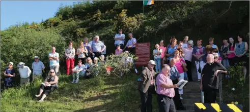  ??  ?? Local Historian Johnny Walsh giving a talk at the site of the Tureengarb­h Ambush on Saturday as part of the Ballydesmo­nd 1916 Commemorat­ion event. Photos: Sheila Fitzgerald