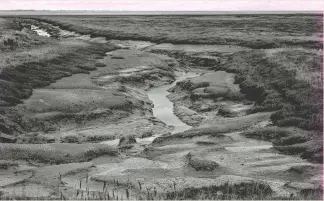  ?? ?? “Arthur and I only had knee-length boots, so crossing the creek to the marsh was somewhat tricky”