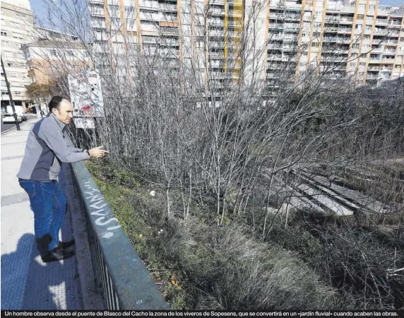  ?? ?? Un hombre observa desde el puente de Blasco del Cacho la zona de los viveros de Sopesens, que se convertirá en un «jardín fluvial» cuando acaben las obras.