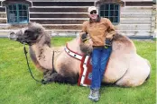  ?? TOM BAUER/THE MISSOULIAN ?? Jim Watson leans on Carlos, his seven-year-old Bactrian camel, at the Spring Brook Ranch near Kalispell, Mont.
