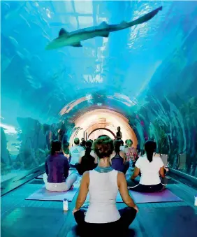  ??  ?? People practise yoga at the aquarium of Dubai Mall in the United Arab Emirate on September 30, 2017. AFP / Giuseppe Cacace