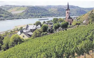  ?? FOTO: BERND F. MEIER/DPA-TMN ?? Der Weinort Lorch am Rhein ist ein guter Ausgangspu­nkt für die Erkundung des Wispertals.