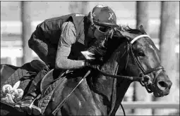  ?? BARBARA D. LIVINGSTON ?? Beautiful Shot, shown training Sunday for Keith Desormeaux, ends a four-month layoff in Saturday’s Grade 3 Gotham Stakes.