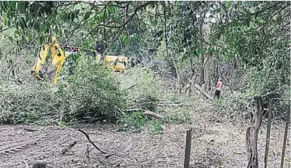  ?? JOSÉ HERNÁNDEZ/ARCHIVO ?? CERCA DE ZONAS URBANAS. En los últimos años, se denuncian más desmontes para nuevos loteos que en zonas agropecuar­ias.