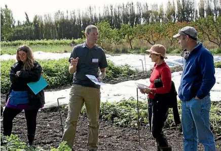  ?? GERALD PIDDOCK/FAIRFAX NZ ?? Biological Husbandary Unit, Future Farming Centre head Charles Merfield (centre) and Richard Barge (below left)