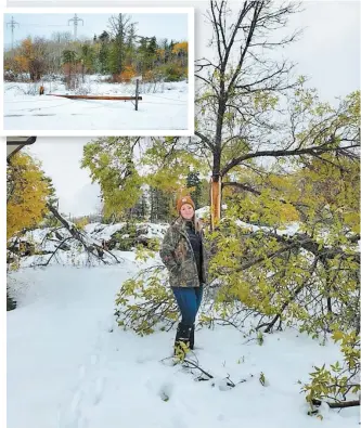  ?? PHOTOS COURTOISIE, EVANIE PALARDY ?? Evanie Palardy devant sa maison de Gypsumvill­e, au nord de Winnipeg, au Manitoba. En mortaise, un des poteaux électrique­s qui a plié l’échine lors de la tempête.