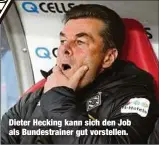  ??  ?? Dieter Hecking kann sich den Job als Bundestrai­ner gut vorstellen.