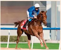  ?? ERA ?? Divine Image (US), trained by Appleby and ridden by Brett Doyle, on way to victory at the Meydan racecourse. —