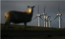  ?? Photograph: AFP/Getty ?? ‘An effective ban on onshore wind is, absurdly, still largely in place after a recent public consultati­on.’ Wind turbines at Llandinam, Powys.