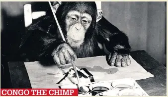  ??  ?? CONGO THE CHIMP