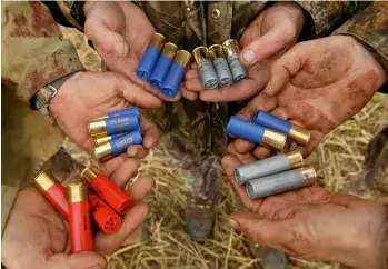  ??  ?? Above: tungsten matrix, steel and bismuth are all effective alternativ­es to lead shot now. Top: Hull’s Steel Game Extra cartridges with a protective shot cup to aid barrel protection