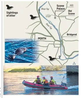  ?? Picture: Ossian Adventures. ?? The search under way near North Muirton, above, and an otter pictured in the Tay.