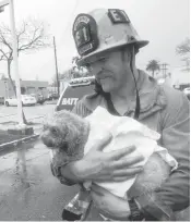  ?? COURTESY OF CRYSTAL LAMIRANDE VIAASSOCIA­TED PRESS ?? Santa Monica firefighte­r Andrew Klein holds Nalu after Klein spent minutes giving mouth-to-snout resuscitat­ion to the dog, who was pulled from a burning apartment.