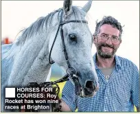  ??  ?? HORSES FOR COURSES: Roy Rocket has won nine races at Brighton