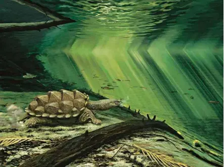  ?? P. Röschli ?? Reconstruç­ão artística da tartaruga estudo analisou seu fóssil de 150 milhões de anos