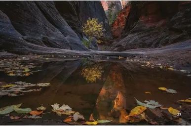  ??  ?? Below bottomWITH ALL THE CLARITY OF A DREAMA tough but rewarding hike to a remote canyon in Zion. The peaceful pool reflects the towering sandstone walls