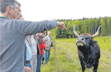  ?? FOTO: BAUCH ?? Auerochsen­züchter aus ganz Deutschlan­d haben den Zuchtbetri­eb von Martin Hertlein in Rainau-Saverwang besucht.