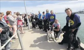  ??  ?? Afin de dignement fêter les  ans de la SNSM et de la station hyéroise, les bénévoles se sont livrés à quelques démonstrat­ions, notamment avec les chiens de sauvetage. La fête se poursuit aujourd’hui, sur le môle central du Port SaintPierr­e, à Hyères.