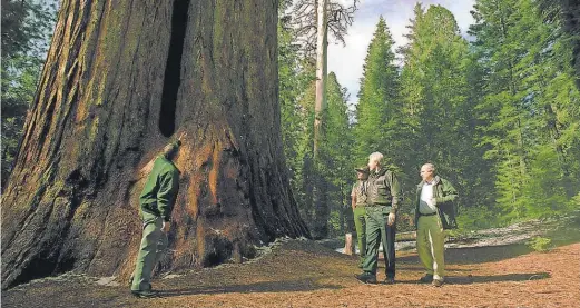  ?? TERESA HURTEAU, VISALIA TIMES- DELTA, VIA USA TODAY NETWORK ?? President Clinton establishe­d the 328,000- acre Giant Sequoia National Monument to protect centuries- old trees. President Trump says monument designatio­ns curtail economic growth.