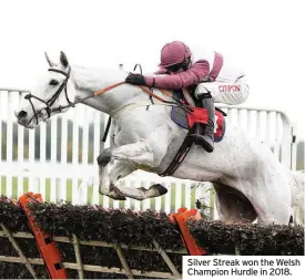  ??  ?? Silver Streak won the Welsh Champion Hurdle in 2018.