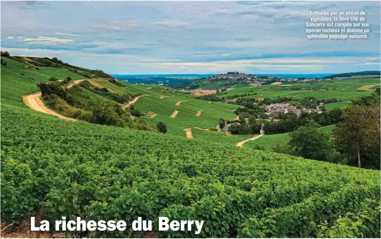  ??  ?? Entourée par un océan de vignobles, la fière cité de Sancerre est campée sur son éperon rocheux et domine un splendide paysage vallonné.