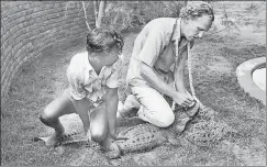  ?? JEHANGIR GAZDAR/GETTY IMAGES ?? Romulus Whitaker measuring a crocodile in August 1977.