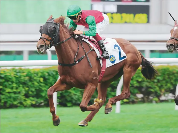 Eustace’s first HK runners ‘ready’ PressReader