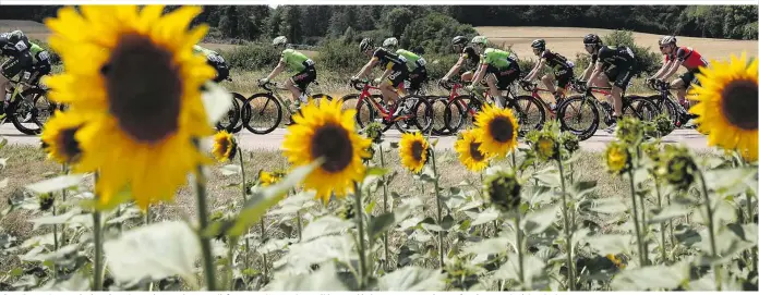  ??  ?? Eines der TV-Sportereig­nisse des Jahres: Die Tour de France liefert guten Sport, schöne Bilder – und jede Menge Begründung­en für einen Frankreich-Urlaub