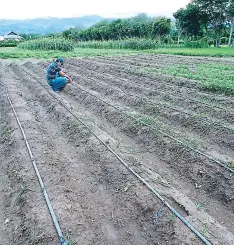  ?? FOTO: EL HERALDO ?? Con el agua almacenada se atenderán los cultivos en la temporada de sequía en los municipios del valle de Comayagua. Juan César Díaz