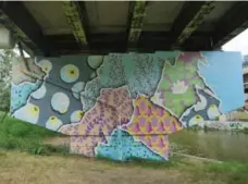  ??  ?? Artist Kirsten McCrea’s mural, near the mouth of the Don River, depicts native wildflower­s that are along the Don River, but are threatened.