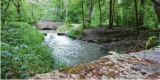  ?? Foto: Jan‰luc Treumann ?? Ein Wasserdenk­mal im Stadtwald ist der Galgenabla­ss.