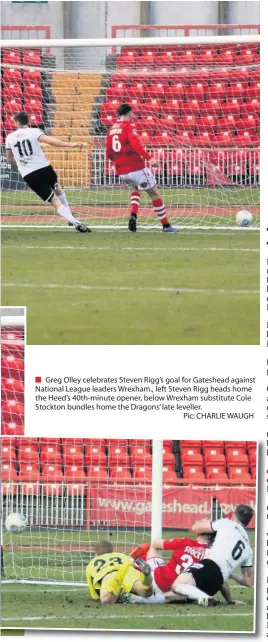  ??  ?? ■ Greg Olley celebrates Steven Rigg’s goal for Gateshead against National League leaders Wrexham., left Steven Rigg heads home the Heed’s 40th-minute opener, below Wrexham substitute Cole Stockton bundles home the Dragons’ late leveller.Pic: CHARLIE WAUGH