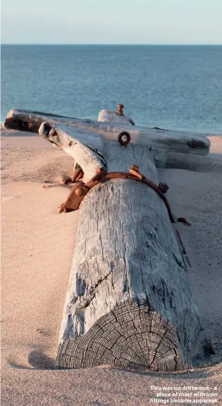  ??  ?? This was no driftwood – a piece of mast with iron fittings became apparent