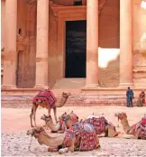  ??  ?? Photo shows camels in front of the Treasury building in Petra, the ancient rock-hewn city that is Jordan's blockbuste­r destinatio­n.