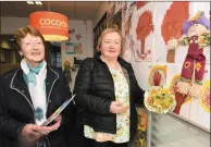  ??  ?? Teresa Buckley and Breeda Cronin enjoyed an Exhibition in Millstreet on Culture Night. Picture John Tarrant