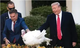  ??  ?? Donald Trump pardons a turkey during a ceremony in the Rose Garden of the White House in Washington DC, on 26 November. Photograph: Saul Loeb/AFP via Getty Images