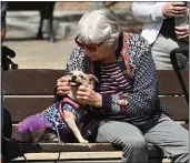  ?? CHRIS RILEY — TIMES-HERALD ?? Peggy Reid pets a small dog as they visit Poochella at City Park in Vallejo on Saturday. Reid was with an activities group from The Lodge in Glen Cove.