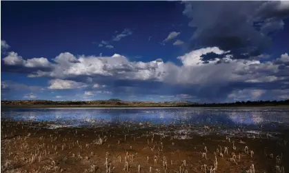  ?? ?? A dried out lake stands near the Navajo nation town of Thoreau, New Mexico. Photograph: SpencerPla­tt/Getty Images