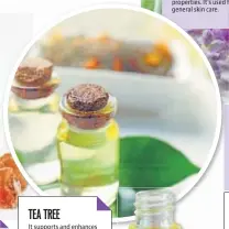  ??  ?? TEA TREE It supports and enhances the immune system. It is excellent for skin nourishmen­t and can be used to treat sunburns and tan. It also has antibacter­ial properties.