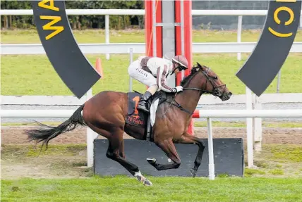  ?? Photo / Trish Dunell ?? Vinnie Colgan rides Cyber Attack to victory in the Majestic Horse Floats 2YO at Te Rapa on Saturday.