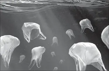  ??  ?? AL RITMO QUE VAMOS. Para 2050 los océanos contendrán más plásticos que peces.