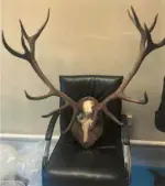  ?? ?? Staff were asked to hang antlers in Darragh O’Brien’s office