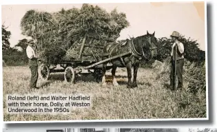  ??  ?? Roland (left) and Walter Hadfield with their horse, Dolly, at Weston Underwood in the 1950s