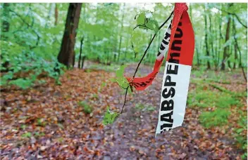  ?? FOTO: HILDENBRAN­D/DPA ?? In einem Wald bei Würzburg wurde der Sohn des Schrauben-Milliardär­s Würth aus Baden-Württember­g im Juni 2015 gefunden – lebend. Ob der 48-Jährige mutmaßlich­e Entführer Mittäter hatte, ist noch unklar.