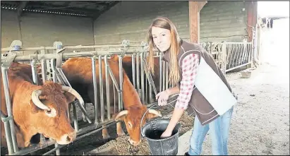  ??  ?? Dok države poput Slovenije daju veća novčana sredstva, a Srbija planira besplatnu dodjelu zemljišta na selu onom tko će ga obrađivati, u BiH sve ostaje na pričama