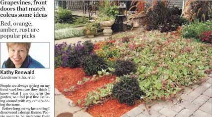  ?? KATHY RENWALD PHOTOS ?? This front yard used sweet potato vine as a ground cover. It was the variegated one with leaves of pink, cream and green, called Tri-Color. It allows a bored gardener to change the “theme” of the front yard.